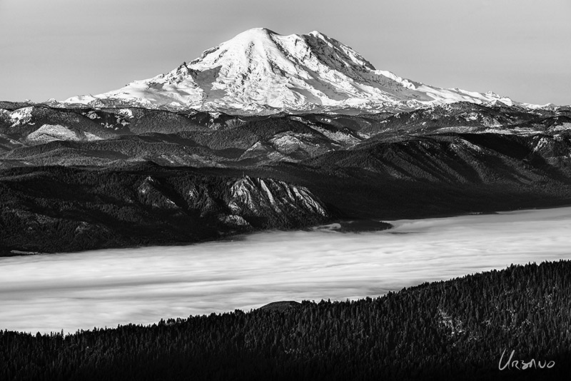 "Mt. Rainier" An unusual view from the north. Great detail and contrast on this clear October morning in this black and white image of Washington State's tallest mountain. Copyright 2013 - Dominic Urbano