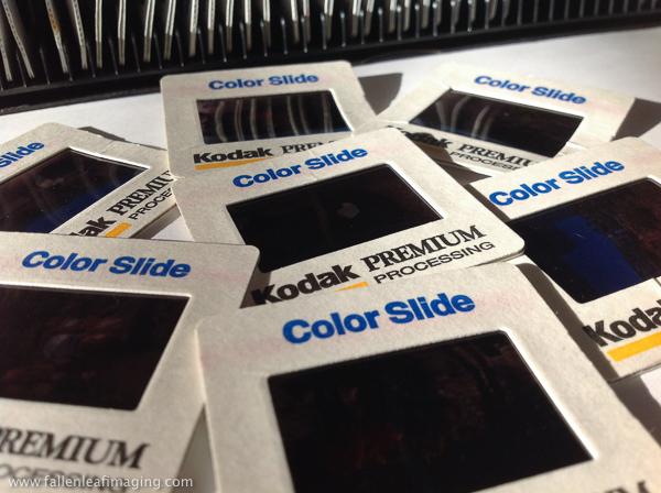 Slides to Scan slide-scan-urbano